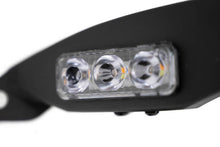 Load image into Gallery viewer, Photo - Unmounted