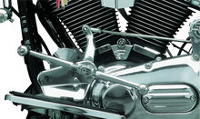 Load image into Gallery viewer, Photo - Primary