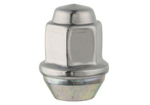 Load image into Gallery viewer, Photo - Unmounted