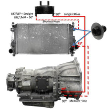 Load image into Gallery viewer, Photo - Primary