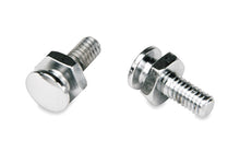 Load image into Gallery viewer, Mustang Solo Mounting Bolts, 5/16-18 Thread (Pair)