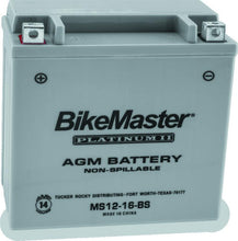 Load image into Gallery viewer, Photo - Primary
