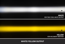 Load image into Gallery viewer, Diode Dynamics SS3 LED Fog Light - Pr.