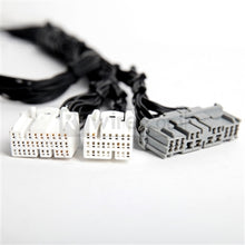 Load image into Gallery viewer, Photo - Primary