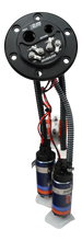 Load image into Gallery viewer, DeatschWerks X2 Pump Hanger w/ Dual DW420 for 92-00 Honda Civic