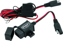 Load image into Gallery viewer, Photo - Primary