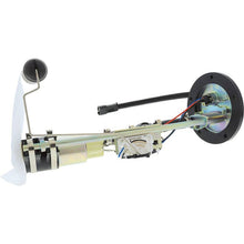 Load image into Gallery viewer, Photo - Primary