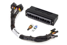 Load image into Gallery viewer, Haltech Elite 1000/1500 Plug-n-Play Adaptor Harness