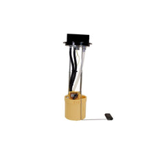 Load image into Gallery viewer, User 1