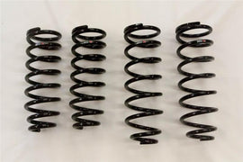 RS-R 01-06 Lexus LS430 (UCF30/31) Down Sus Springs