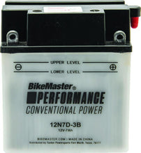 Load image into Gallery viewer, Photo - Primary