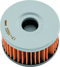 Load image into Gallery viewer, Photo - Primary