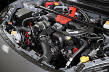 Load image into Gallery viewer, User 1