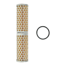 Load image into Gallery viewer, AEM Universal High Volume Fuel Filter Element