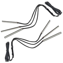 Load image into Gallery viewer, Photo - Mounted