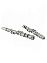 Load image into Gallery viewer, Skunk2 93-01 Honda B Series Ultra BMF TLRC Series Camshafts