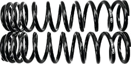 Progressive Rear Springs 65/130 (PR) - Black