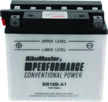 Load image into Gallery viewer, Photo - Primary