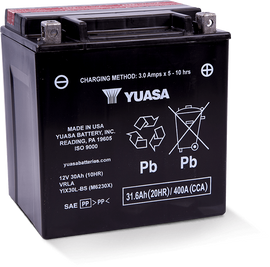 Yuasa YIX30L-BS-PW High Performance Maintenance Free AGM 12-Volt Battery w/Bottle